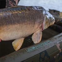 Fox Carpmaster Air Mat